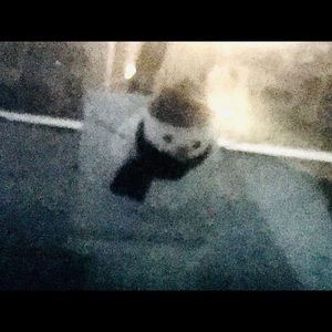 Meet your Posher, Judy